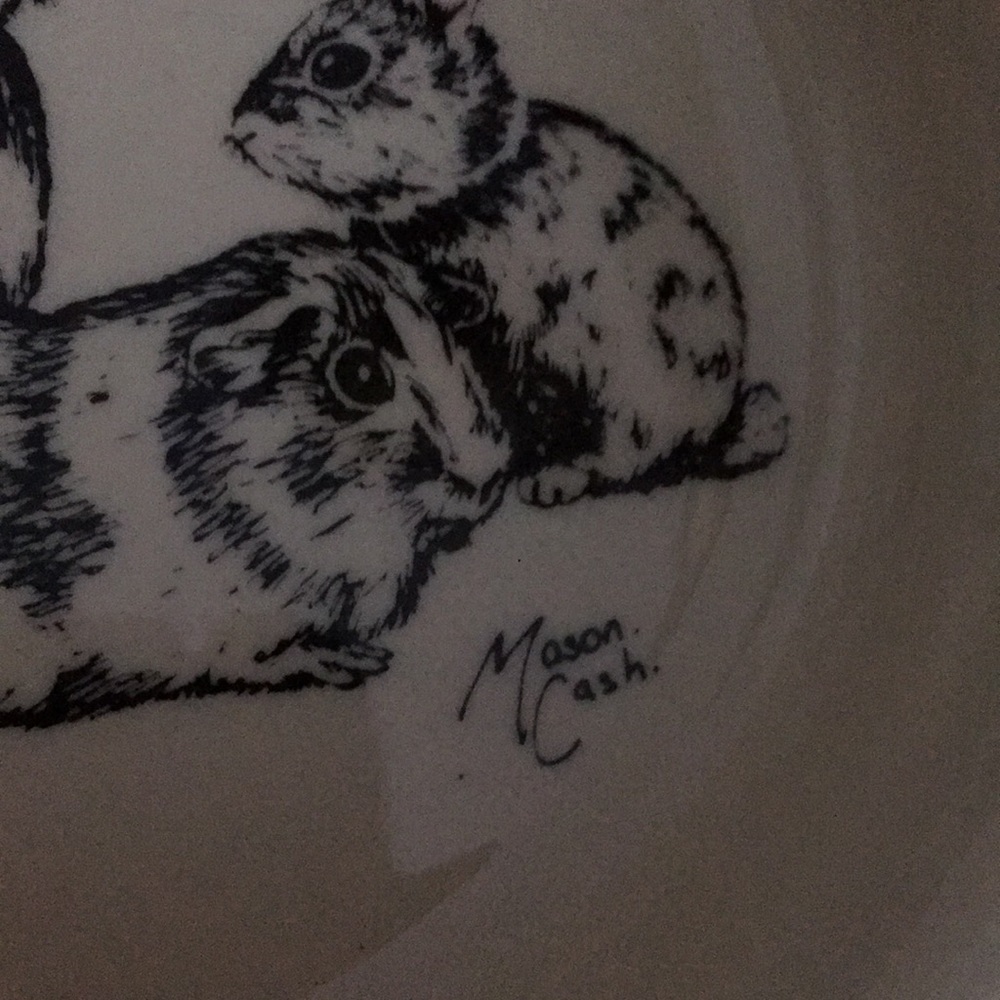 Two pet bowls - Picture 6 of 6